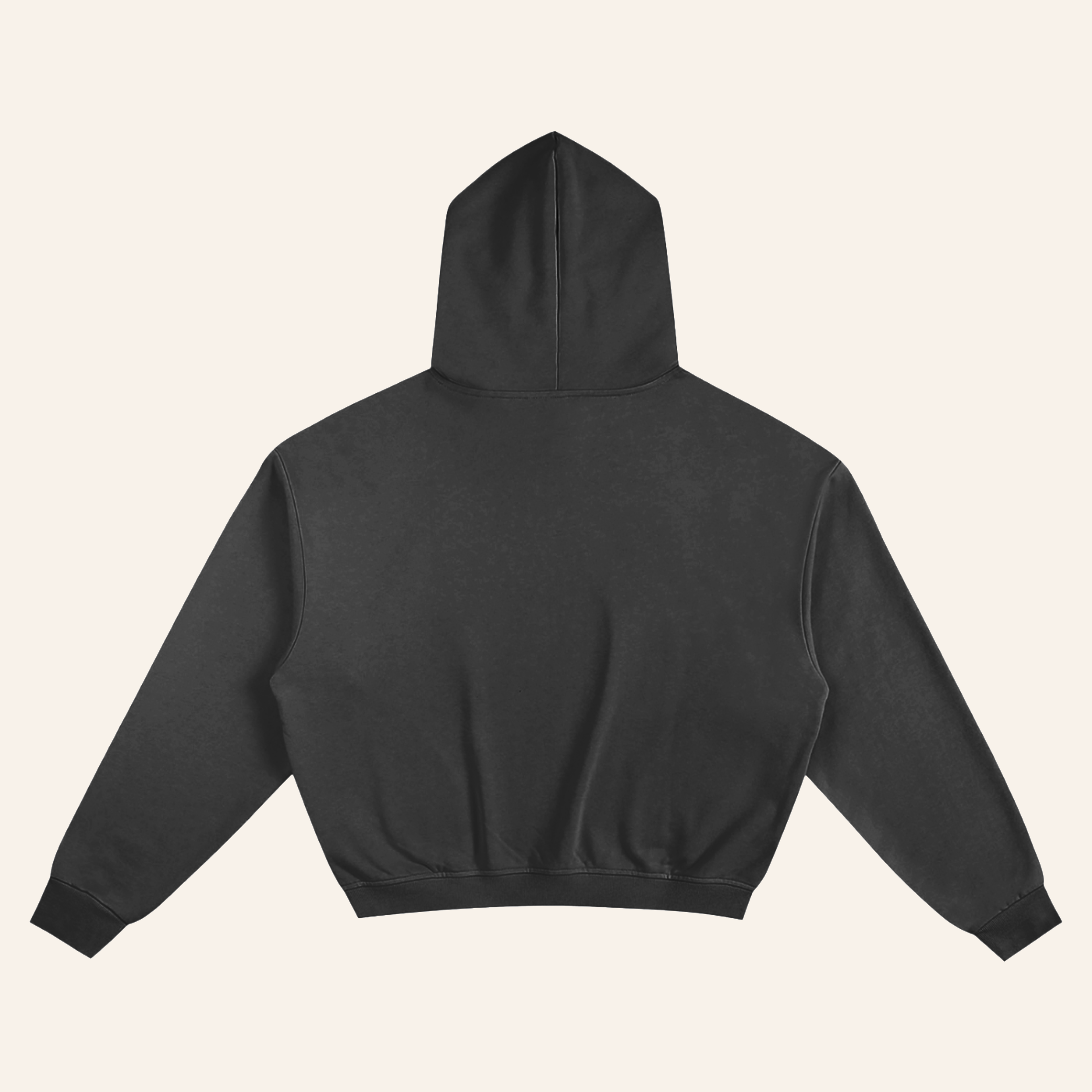 GOA Unisex Perfect Hoodie
